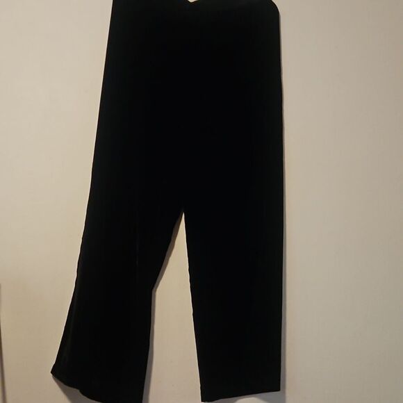 Wynne collection velvet pants L - Picture 1 of 6
